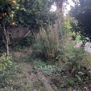 Casa com 112m², 2 dormitórios, 1 vaga, no bairro Santa Corona em Caxias do Sul para Comprar