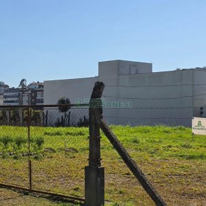 Terreno com 1620m², no bairro Sanvitto em Caxias do Sul para Comprar