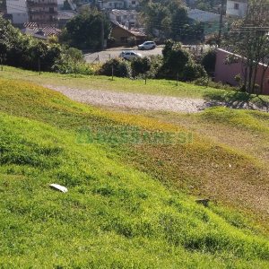 Terreno, no bairro Marechal Floriano em Caxias do Sul para Comprar