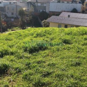 Terreno, no bairro Marechal Floriano em Caxias do Sul para Comprar