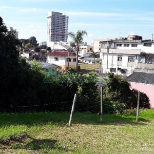 Terreno, no bairro Marechal Floriano em Caxias do Sul para Comprar