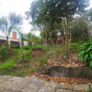 Casa Comercial com 250m², 4 dormitórios, 4 vagas, no bairro Lourdes em Caxias do Sul para Alugar ou Comprar