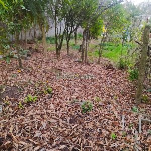 Casa Comercial com 250m², 4 dormitórios, 4 vagas, no bairro Lourdes em Caxias do Sul para Alugar ou Comprar