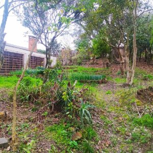 Casa Comercial com 250m², 4 dormitórios, 4 vagas, no bairro Lourdes em Caxias do Sul para Alugar ou Comprar