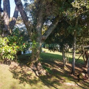 Chácara com 277m², 4 dormitórios, 2 vagas, no bairro Pedancino em Caxias do Sul para Comprar