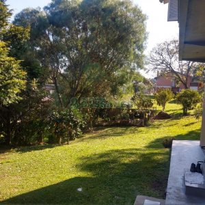 Chácara com 277m², 4 dormitórios, 2 vagas, no bairro Pedancino em Caxias do Sul para Comprar