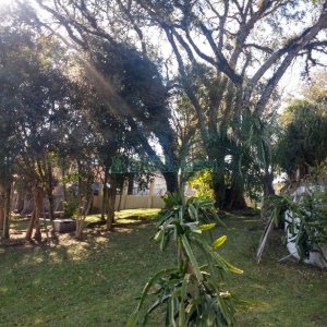 Chácara com 277m², 4 dormitórios, 2 vagas, no bairro Pedancino em Caxias do Sul para Comprar