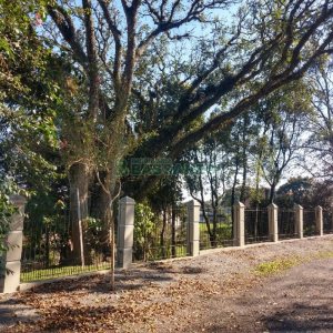 Chácara com 277m², 4 dormitórios, 2 vagas, no bairro Pedancino em Caxias do Sul para Comprar