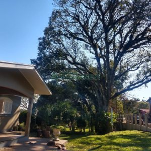 Chácara com 277m², 4 dormitórios, 2 vagas, no bairro Pedancino em Caxias do Sul para Comprar