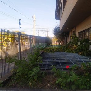 Casa Comercial com 530m², 5 dormitórios, 2 vagas, no bairro Cinqüentenário em Caxias do Sul para Alugar