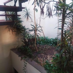 Casa Comercial com 530m², 5 dormitórios, 2 vagas, no bairro Cinqüentenário em Caxias do Sul para Alugar