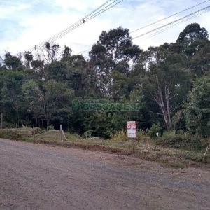 Terreno com 20349m², no bairro São Virgílio em Caxias do Sul para Comprar