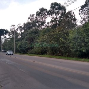 Terreno com 20349m², no bairro São Virgílio em Caxias do Sul para Comprar
