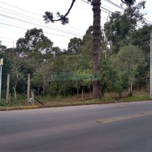Terreno com 20349m², no bairro São Virgílio em Caxias do Sul para Comprar