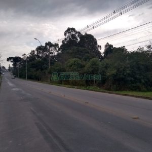 Terreno com 20349m², no bairro São Virgílio em Caxias do Sul para Comprar