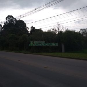 Terreno com 20349m², no bairro São Virgílio em Caxias do Sul para Comprar