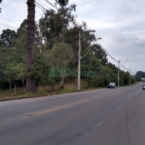 Terreno com 20349m², no bairro São Virgílio em Caxias do Sul para Comprar