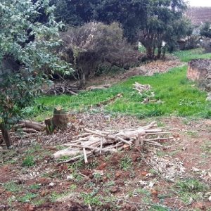 Casa, no bairro Pio X em Caxias do Sul para Comprar