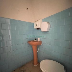 Pavilhão com 1000m², no bairro São Leopoldo em Caxias do Sul para Alugar