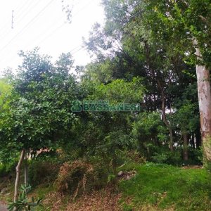 Terreno, no bairro Sanvitto em Caxias do Sul para Comprar