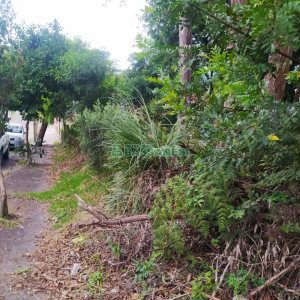 Terreno, no bairro Sanvitto em Caxias do Sul para Comprar