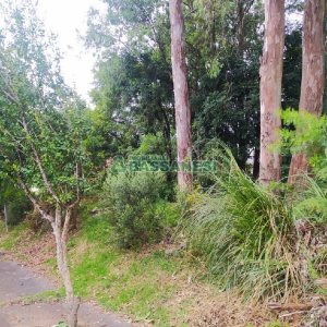 Terreno, no bairro Sanvitto em Caxias do Sul para Comprar