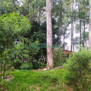 Terreno, no bairro Sanvitto em Caxias do Sul para Comprar