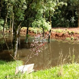 Chácara, no bairro Parada Cristal em Caxias do Sul para Comprar