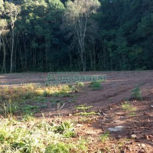 Chácara, no bairro Parada Cristal em Caxias do Sul para Comprar