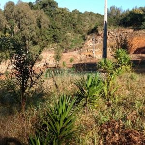 Chácara, no bairro Parada Cristal em Caxias do Sul para Comprar