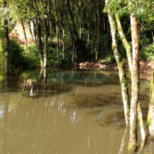 Chácara, no bairro Parada Cristal em Caxias do Sul para Comprar