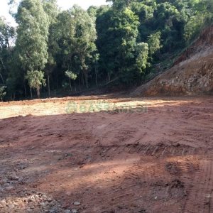 Chácara, no bairro Parada Cristal em Caxias do Sul para Comprar