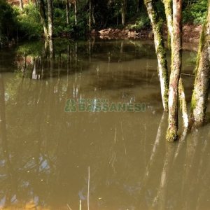 Chácara, no bairro Parada Cristal em Caxias do Sul para Comprar