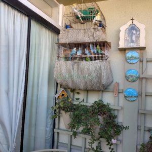 Apartamento com 153m², 3 dormitórios, 1 vaga, no bairro Rio Branco em Caxias do Sul para Comprar