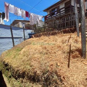 Casa com 100m², 3 dormitórios, 1 vaga, no bairro São Leopoldo em Caxias do Sul para Comprar