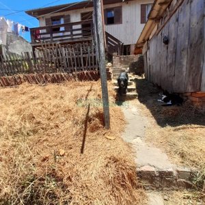 Casa com 100m², 3 dormitórios, 1 vaga, no bairro São Leopoldo em Caxias do Sul para Comprar