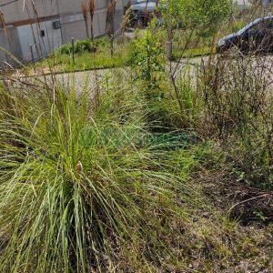 Terreno com 360m², no bairro Sanvitto em Caxias do Sul para Comprar