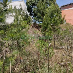 Terreno com 360m², no bairro Sanvitto em Caxias do Sul para Comprar