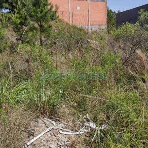 Terreno com 360m², no bairro Sanvitto em Caxias do Sul para Comprar