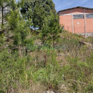 Terreno com 360m², no bairro Sanvitto em Caxias do Sul para Comprar
