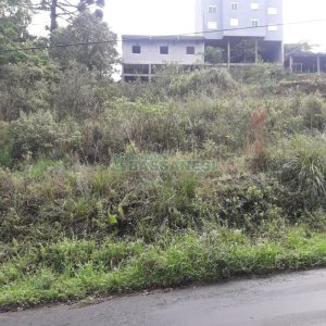 Terreno, no bairro Cruzeiro em Caxias do Sul para Comprar