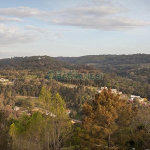 Casa com 484m², 3 dormitórios, 2 vagas, no bairro Linha 40 em Caxias do Sul para Comprar