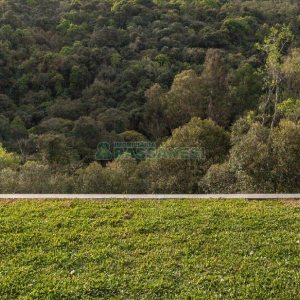 Casa com 484m², 3 dormitórios, 2 vagas, no bairro Linha 40 em Caxias do Sul para Comprar