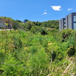 Terreno, no bairro Nossa Senhora das Graças em Caxias do Sul para Comprar