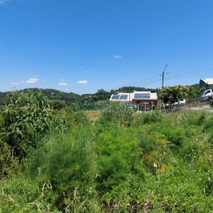 Terreno, no bairro Nossa Senhora das Graças em Caxias do Sul para Comprar
