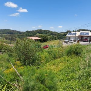 Terreno, no bairro Nossa Senhora das Graças em Caxias do Sul para Comprar