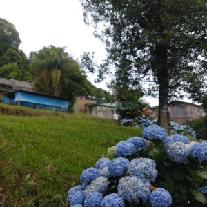 Chácara com 200m², 3 dormitórios, 1 vaga, no bairro Ana Rech em Caxias do Sul para Comprar