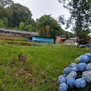 Chácara com 200m², 3 dormitórios, 1 vaga, no bairro Ana Rech em Caxias do Sul para Comprar