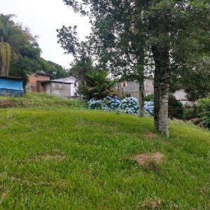 Chácara com 200m², 3 dormitórios, 1 vaga, no bairro Ana Rech em Caxias do Sul para Comprar