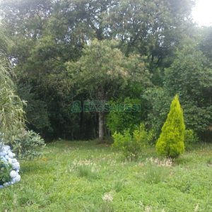 Chácara com 200m², 3 dormitórios, 1 vaga, no bairro Ana Rech em Caxias do Sul para Comprar